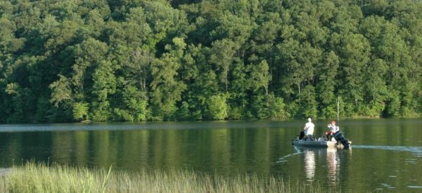 DELANEY-PARK1-1024×489